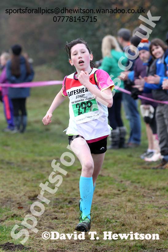 Under-13  girls NEHL, Aykley Heads, Durham. Photo: David T. Hewitson/Sports for All Pics